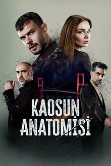 Анатомия хаоса poster